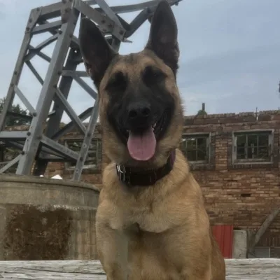 Jet