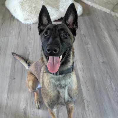 Maggie