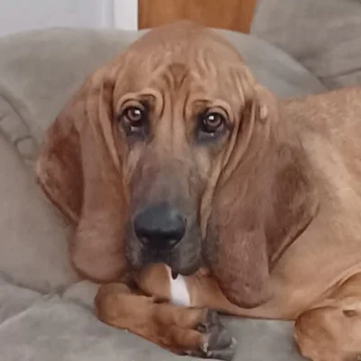 Walter